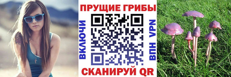 Псилоцибиновые грибы GOLDEN TEACHER  Купить закладки  Володарск 