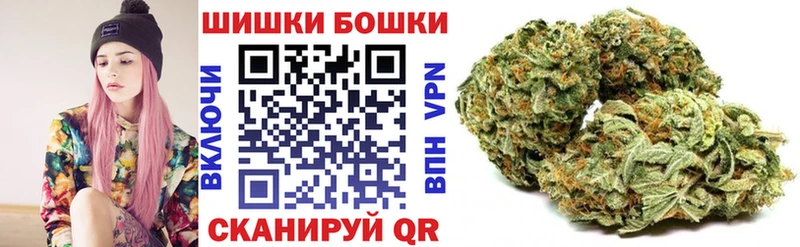 Купить закладки  Володарск  Бошки Шишки OG Kush 